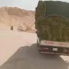 الرياض. برسيم. القسيم. طيب. مره. العدد. 250. واصب. اي. مكان
