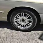 جنوط ماركيز لمتد