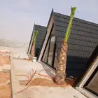 مشاءالله تبارك الله نخل وصل اليوم