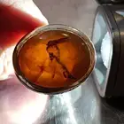 خاتم عقيق يماني شجري مصور