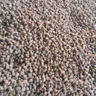 تمر حلال تمر حوالي 200كيس