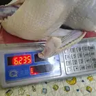 ديك رومي ذبح طازج