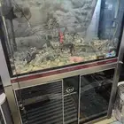 احواض سمك نضيفه واحجام كبيره حول متر وشوي مع الدواليب