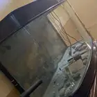 حوض سمك للبيع للاعلى سعر