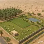 إعلان .