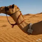 جهاز تتبع الابل