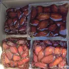 تمر صفري كبار