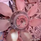قطع غيار لكزس400من1990الى1994