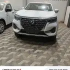 دونج فينج ريتش