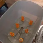 معقم رضاعات كهربائي