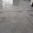أبو عبدالرحمن مبلط