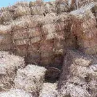 دره جيزانيه حق عام23 عدد20الف البيع كامل الكميه 11ريال
