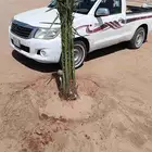 لدينا جميع انواع النخيل وتنظيف تكريب وكل الفروخ وتطليع الروا
