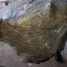 مكائن شاص برادو ربع لاند كروزر 6سلندر