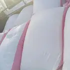 بذرمليسا بلدي