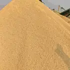 دفان صبيز كساره