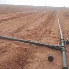 تركيب شبك الراي الزرعي وشبوك وتوريد جميع الاشجار والمصدات لر