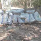 اكياس ورق سعف الحلال