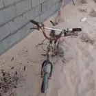 رامبو مقاس 16