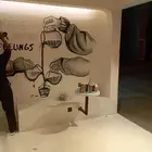 جميع انوع الدهانات ولديكورات