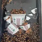 اعمال يوم التأسيس ب الريزن