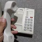 تلفونات نورتال