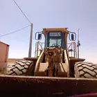 شيول للأيجار
