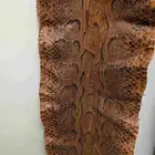جلد ثعبان أفريقي