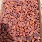 120كرتون صفري صافي فاخر موسم 1447