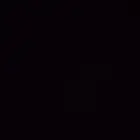 فروخ عربي اصيل نوادر سيافي