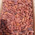 صفري بيشه