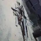 للبيع خشب نص نظيف للشتاء