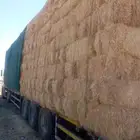 تبن تبوك سلكين شد ووزن فوق ال20كيلو ناعم بر