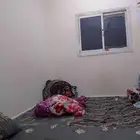 سكن للمشاركه عزاب