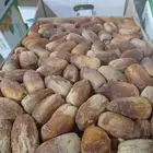 لبيع صقعي جلكسي اخلاص خضري