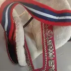 الطايف