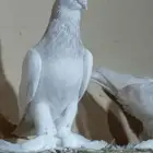 سيهات حي الديره