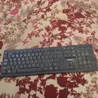 اللبيع