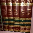 صحيح الترغيب والترهيب ضعيف الترغيب والترهيب