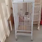 للبيع قفص الطيور كوكاتو