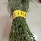 مرخ حنيذ ومندي