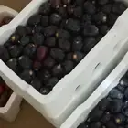 رطب عجوة