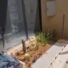 تنسيق حدائق زراعيه