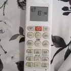 الأحساء