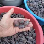 تمر حلوه رميثي