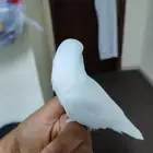 روز ابيض عيون حمر