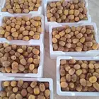 رطب روثانه حبه فاخره