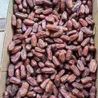 تمر صفري صافي وقسب