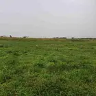 مطلوب مزراعه بصك الكتروني بمساحه مليون متر واكثر