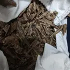 عود هندي موري دبل سوبر